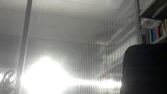 pantomax online show from November 4, 2025, 1:09 am