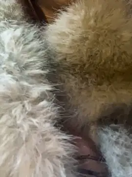 babydolll online show from March 12, 2025, 4:46 pm