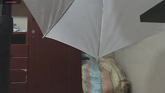 DIANATSS online show from February 8, 2025, 11:45 pm