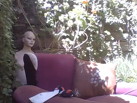 Snapshot of sweetbabyass chatting on March 14, 2025, 4:51 pm sweetbabyass online show from March 14, 2025, 4:51 pm