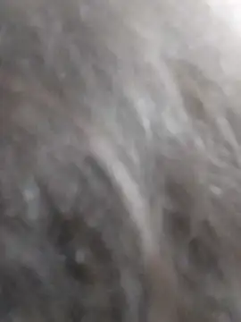 kobita Mohali online show from September 14, 2025, 8:15 am