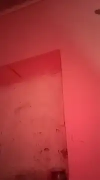 sosarax online show from January 30, 2025, 11:22 am