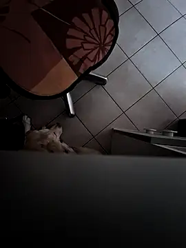 HardWolf2024 online show from December 9, 2024, 2:49 pm