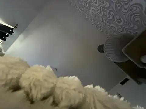 bunnyamy online show from November 12, 2025, 11:03 am