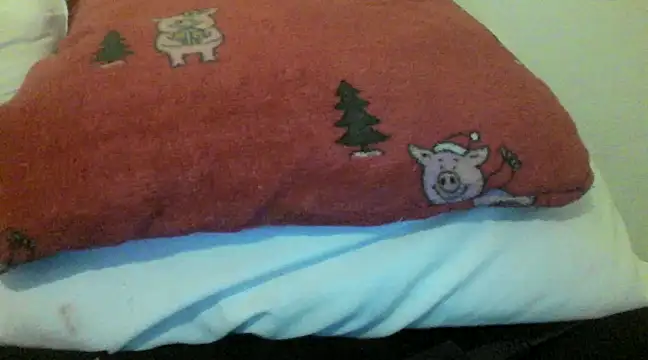 bunnyamy online show from December 5, 2024, 5:55 pm