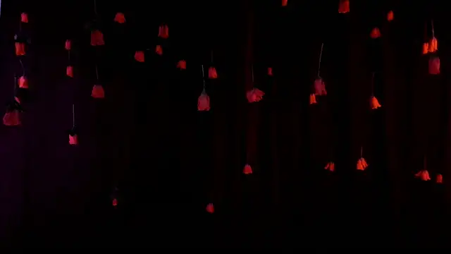 lnxmst online show from February 14, 2026, 11:49 pm