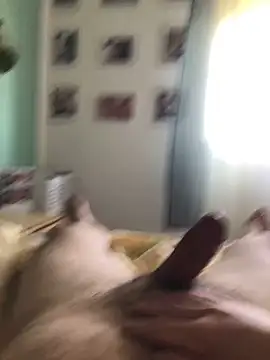 Polipo85 online show from April 5, 2026, 8:32 am