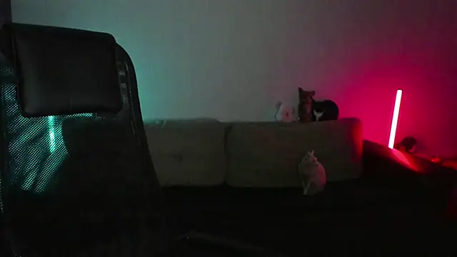 Ostin meow online show from April 7, 2026, 2:30 pm