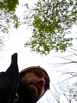 Fuckboy4public online show from October 31, 2025, 9:32 pm