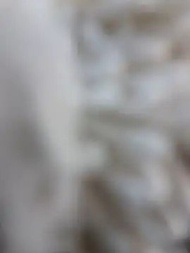 lemon69Reo online show from February 15, 2026, 8:41 pm