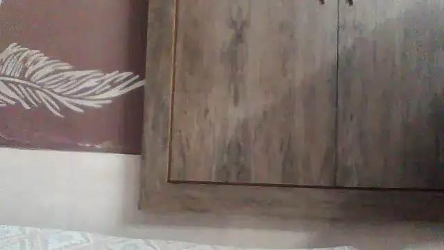 shalini fire online show from December 2, 2025, 11:01 am