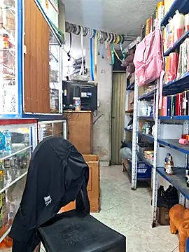 nidia2026 online show from March 7, 2026, 2:11 pm