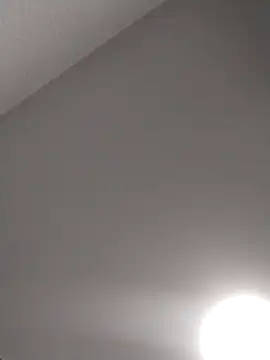 Lorrain Dorrie online show from February 15, 2025, 9:06 pm