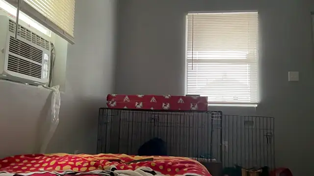 skarfosbabes69 online show from March 23, 2026, 1:00 pm