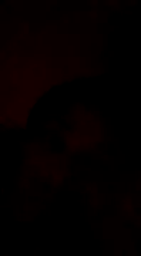 Bigote Big0357 online show from January 12, 2025, 9:08 pm