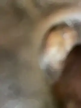 Snapshot of GangsterCouple-Aimy-Jonny chatting on February 10, 2026, 12:53 am GangsterCouple-Aimy-Jonny online show from February 10, 2026, 12:53 am