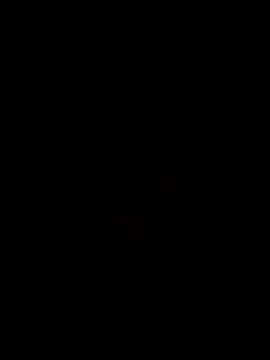 FrankJake99 online show from October 5, 2025, 8:54 pm