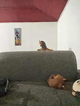 Junihn0 online show from October 26, 2025, 4:24 am