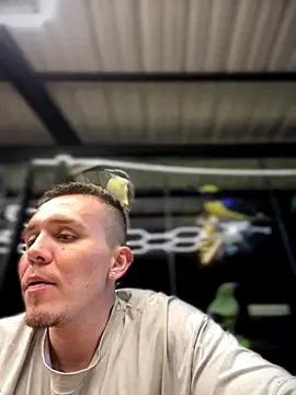 adam-rivera online show from November 14, 2025, 12:36 am