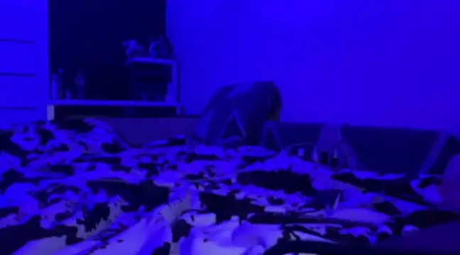 Snapshot of Princess_Dianka chatting on January 10, 2025, 12:15 pm Princess Dianka online show from January 10, 2025, 12:15 pm