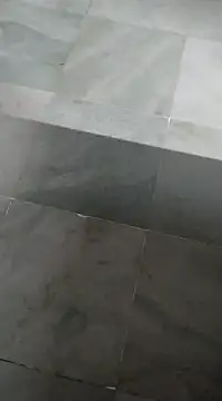 bhavanitelu online show from March 12, 2025, 9:44 am