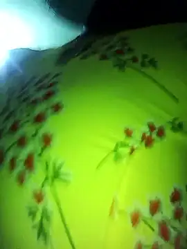 bhavanitelu online show from January 7, 2026, 3:33 am