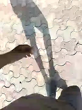 chootkapyasa007 online show from September 13, 2025, 10:48 am