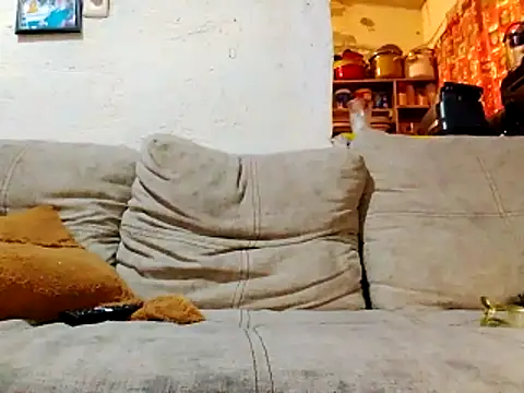 NewBe9D9 online show from November 23, 2025, 9:41 am