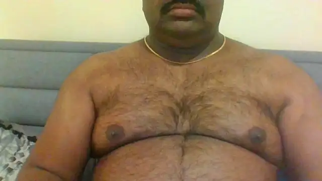 indianbearbot online show from January 26, 2025, 8:13 pm