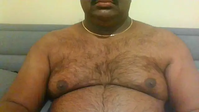 indianbearbot online show from January 11, 2025, 8:54 pm