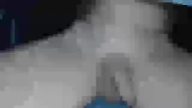 Snapshot of cs1512 chatting on February 13, 2025, 6:37 pm cs1512 online show from February 13, 2025, 6:37 pm