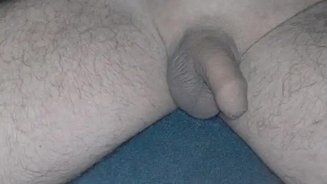 Snapshot of cs1512 chatting on February 26, 2025, 4:41 am cs1512 online show from February 26, 2025, 4:41 am