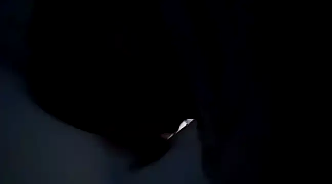 Snapshot of Saori_san_ chatting on January 4, 2025, 12:16 am Saori san online show from January 4, 2025, 12:16 am