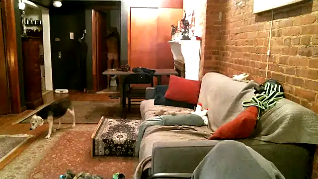 Snapshot of Johnny_Bottoms chatting on December 21, 2024, 1:04 am Johnny Bottoms online show from December 21, 2024, 1:04 am