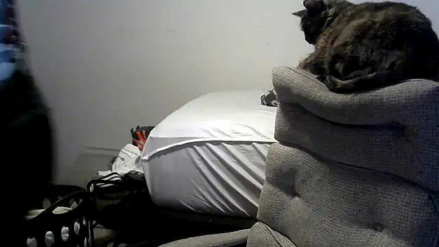 viejo oso online show from April 10, 2026, 3:24 am