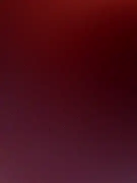 RichBitc4xxx89 online show from February 12, 2026, 8:47 am