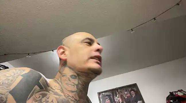 Snapshot of Dnasty1408 chatting on January 14, 2025, 8:09 am Dnasty1408 online show from January 14, 2025, 8:09 am