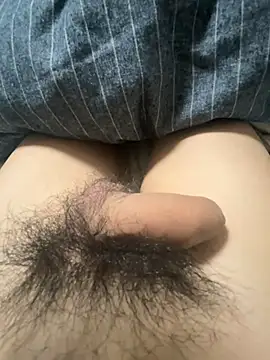 toto3119 online show from December 23, 2024, 11:57 am