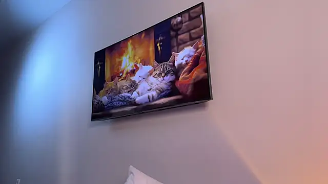 Carolyn Smith online show from February 26, 2025, 12:09 am