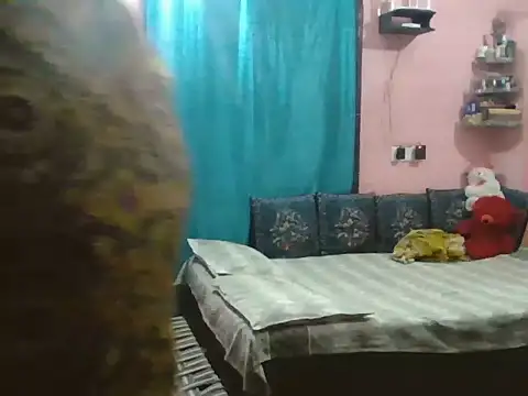 Hot-shanvi online show from September 23, 2025, 12:34 pm