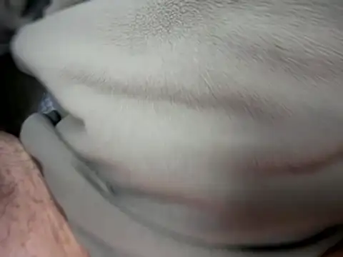 Archie8338 online show from January 14, 2026, 4:21 pm