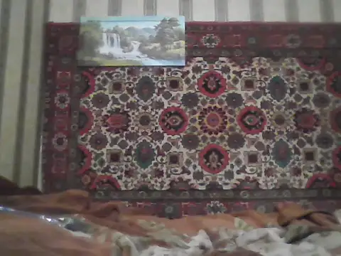 AlferezzSolvajo online show from September 13, 2025, 7:03 pm