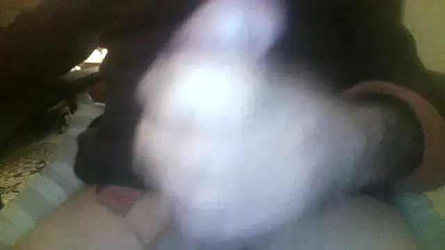 Patrickhound online show from November 19, 2025, 3:39 am