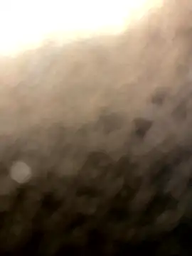 BLACKTRANS ZA online show from April 3, 2026, 9:21 pm