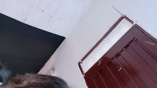 amabel zambrano online show from November 5, 2025, 1:47 pm