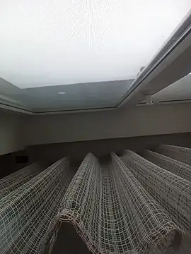 Lauren Amabel online show from March 21, 2026, 6:58 am