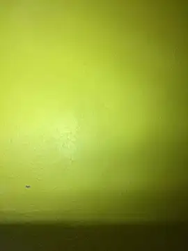 triplebeast online show from February 2, 2025, 2:59 am