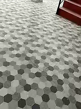 vannaaaa100 online show from January 30, 2025, 9:47 am