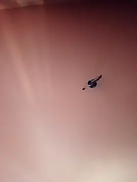 BR master online show from September 19, 2025, 10:19 am