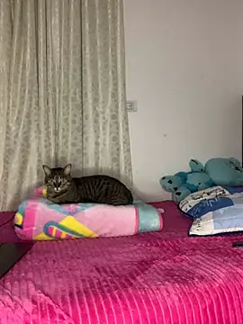 Snapshot of LunaShine_ chatting on March 23, 2025, 12:15 am LunaShine online show from March 23, 2025, 12:15 am